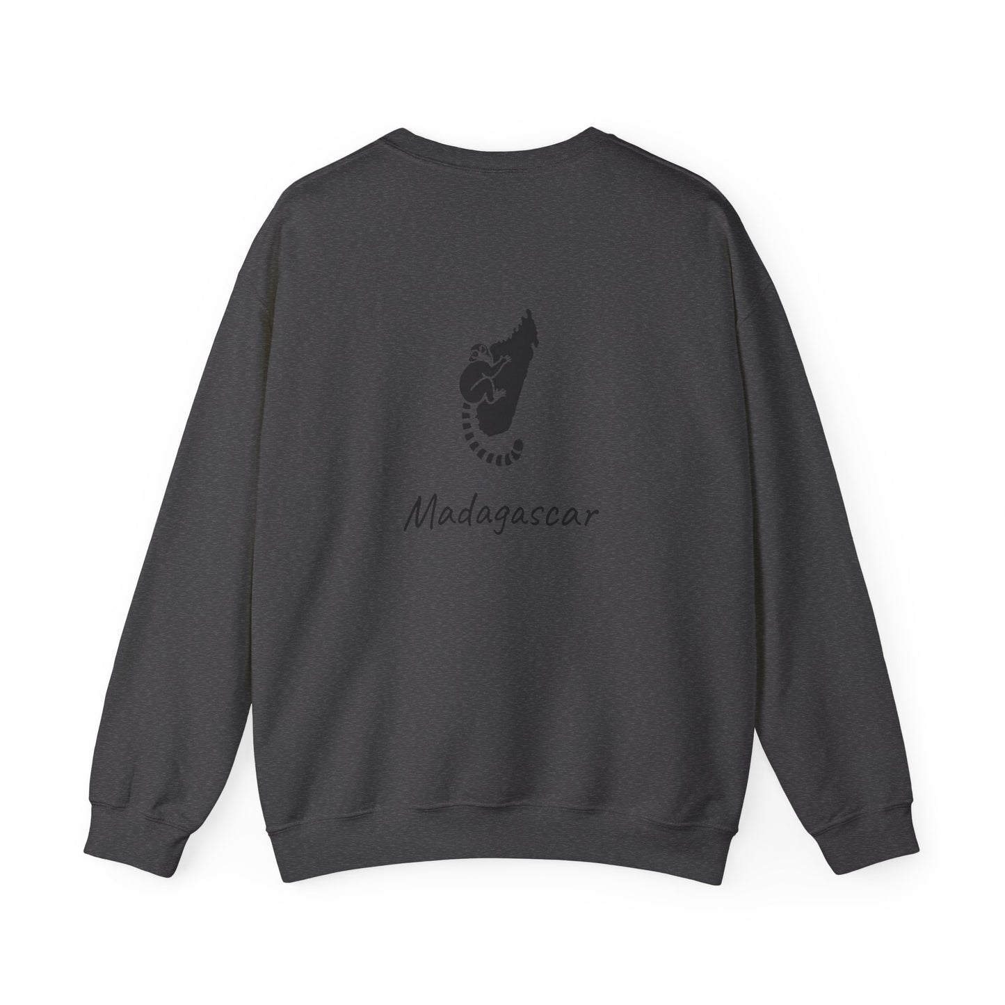 🧥 Sweat Maki de Madagascar - Entre Culture & Faune Endémique 🐾