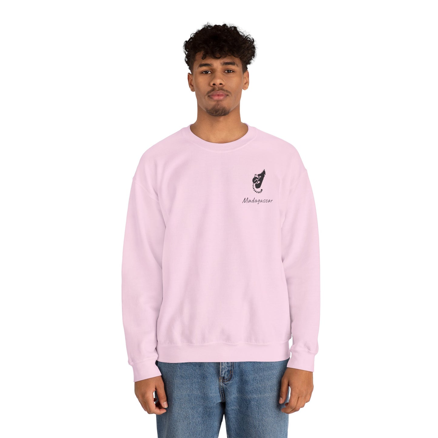 🧥 Sweat Maki de Madagascar - Entre Culture & Faune Endémique 🐾