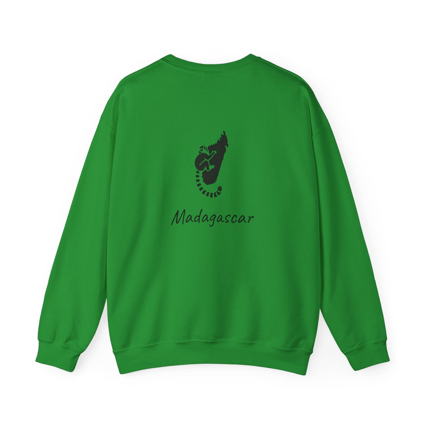 🧥 Sweat Maki de Madagascar - Entre Culture & Faune Endémique 🐾