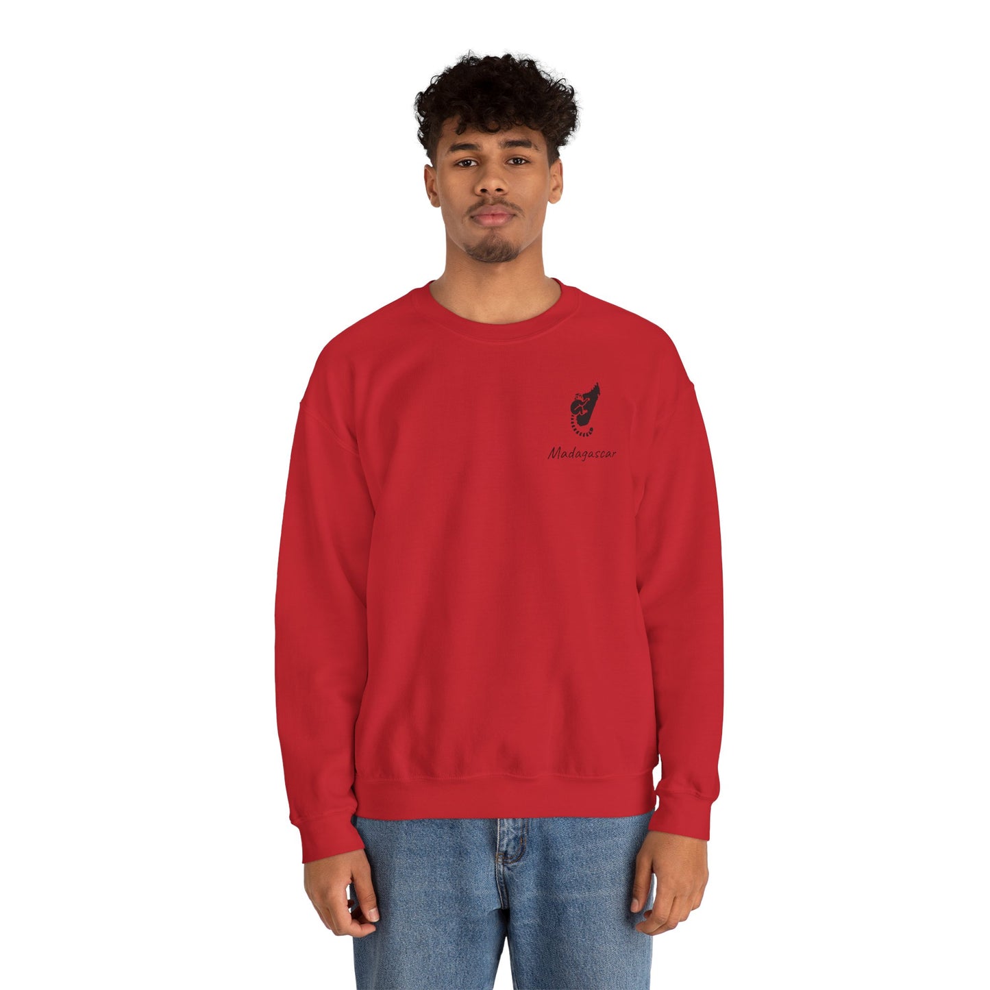 🧥 Sweat Maki de Madagascar - Entre Culture & Faune Endémique 🐾