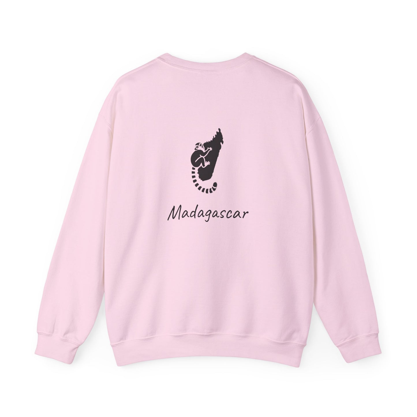 🧥 Sweat Maki de Madagascar - Entre Culture & Faune Endémique 🐾