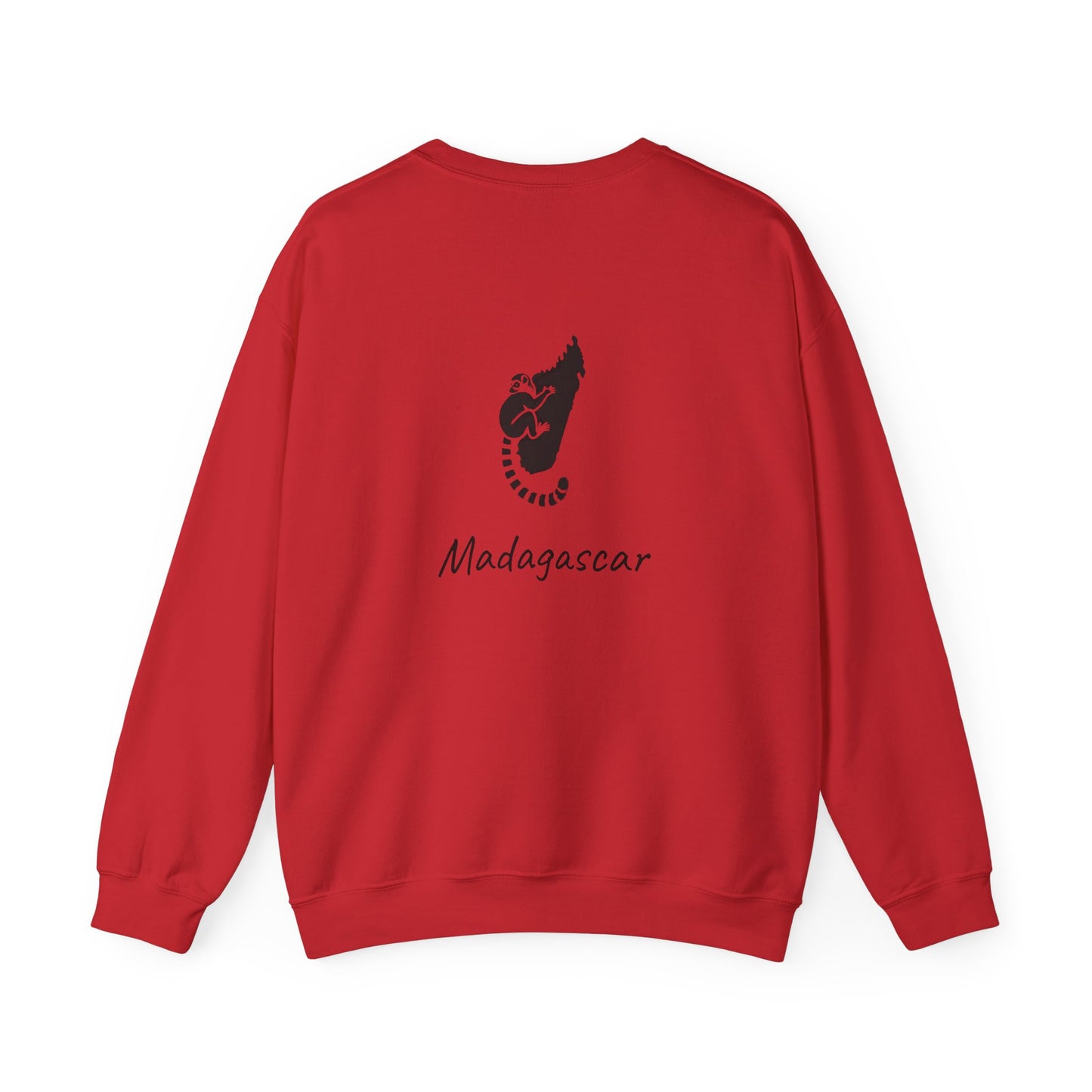 🧥 Sweat Maki de Madagascar - Entre Culture & Faune Endémique 🐾