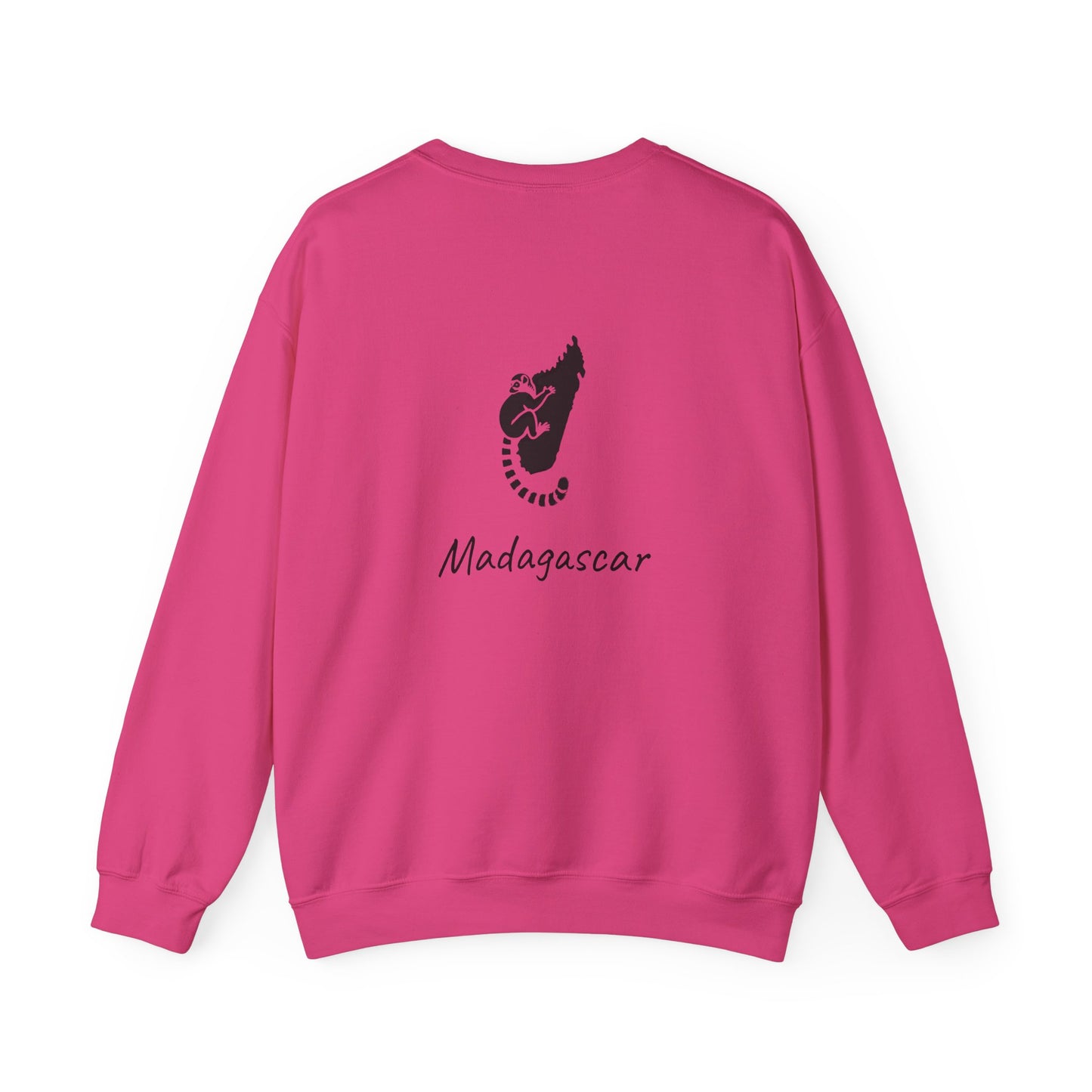 🧥 Sweat Maki de Madagascar - Entre Culture & Faune Endémique 🐾