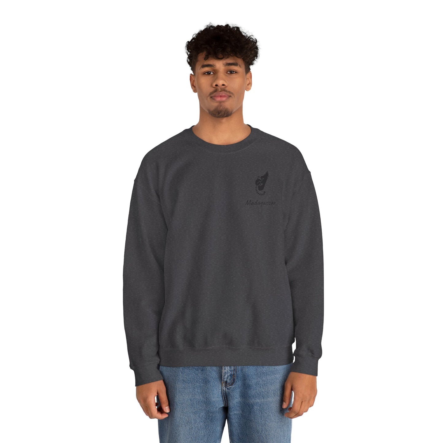 🧥 Sweat Maki de Madagascar - Entre Culture & Faune Endémique 🐾