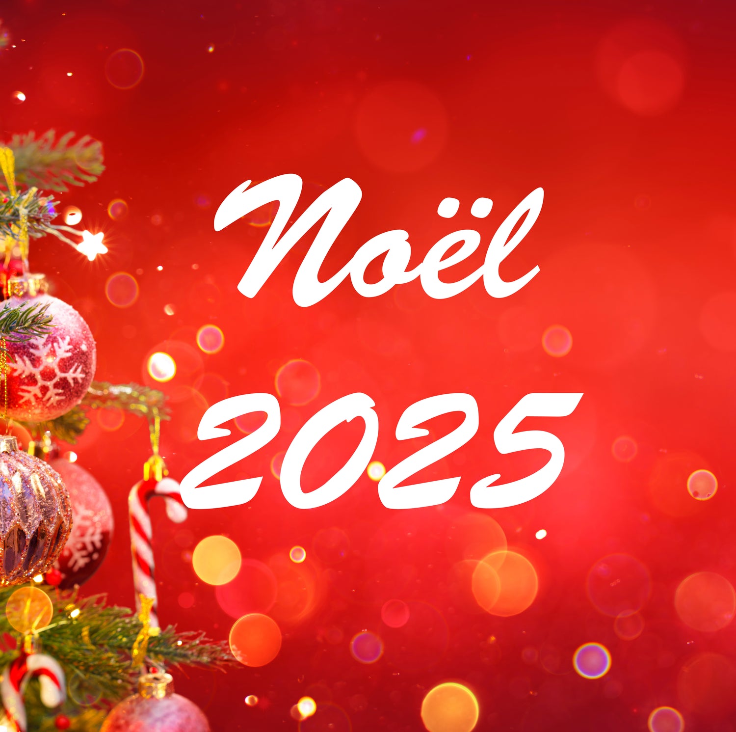 Collection Noël 2025