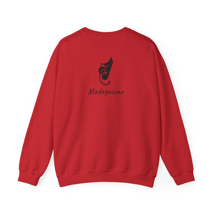 🧥 Maki Sweatshirt from Madagascar - Between Culture &amp; Endemic Wildlife 🐾