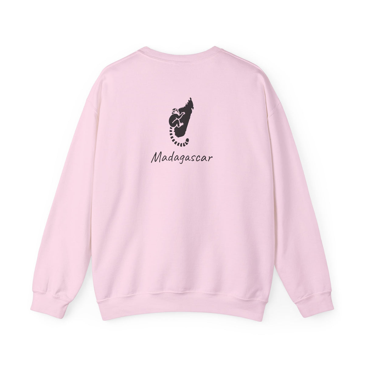🧥 Maki Sweatshirt from Madagascar - Between Culture &amp; Endemic Wildlife 🐾